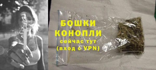 кокс Ельня