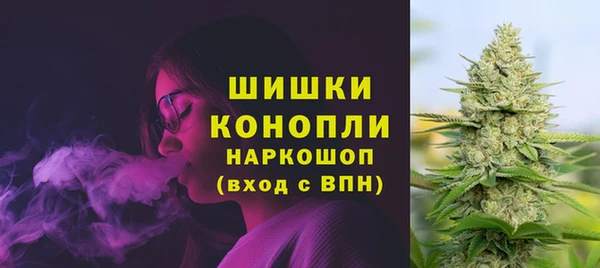 кокс Ельня
