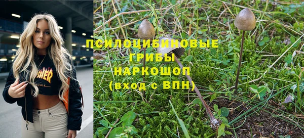 a pvp Елабуга