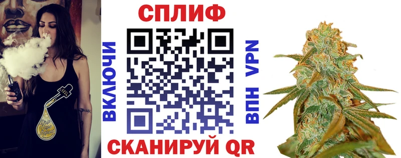Купить закладки  Циолковский  Конопля сатива 